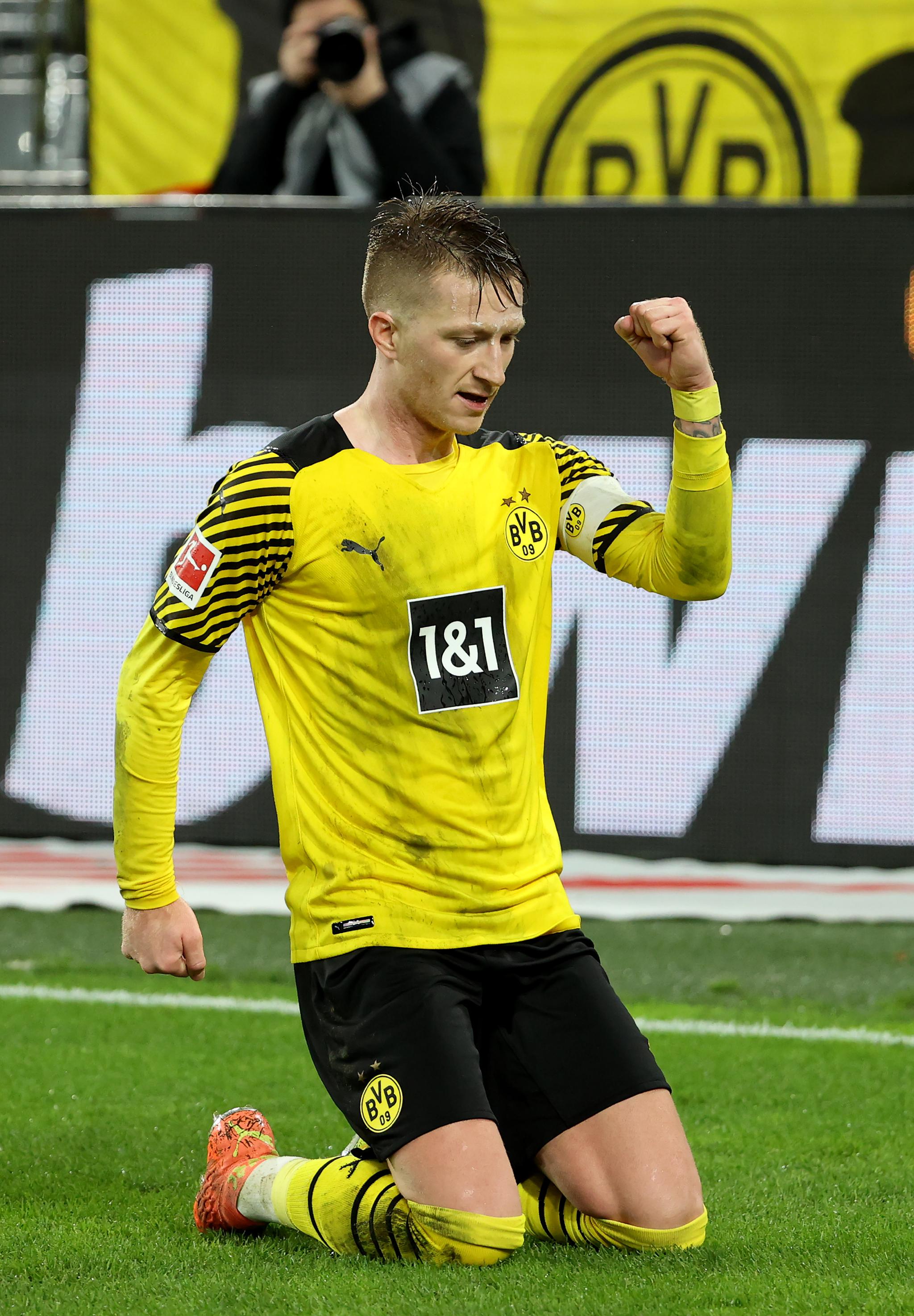 50吨植物油精炼设备