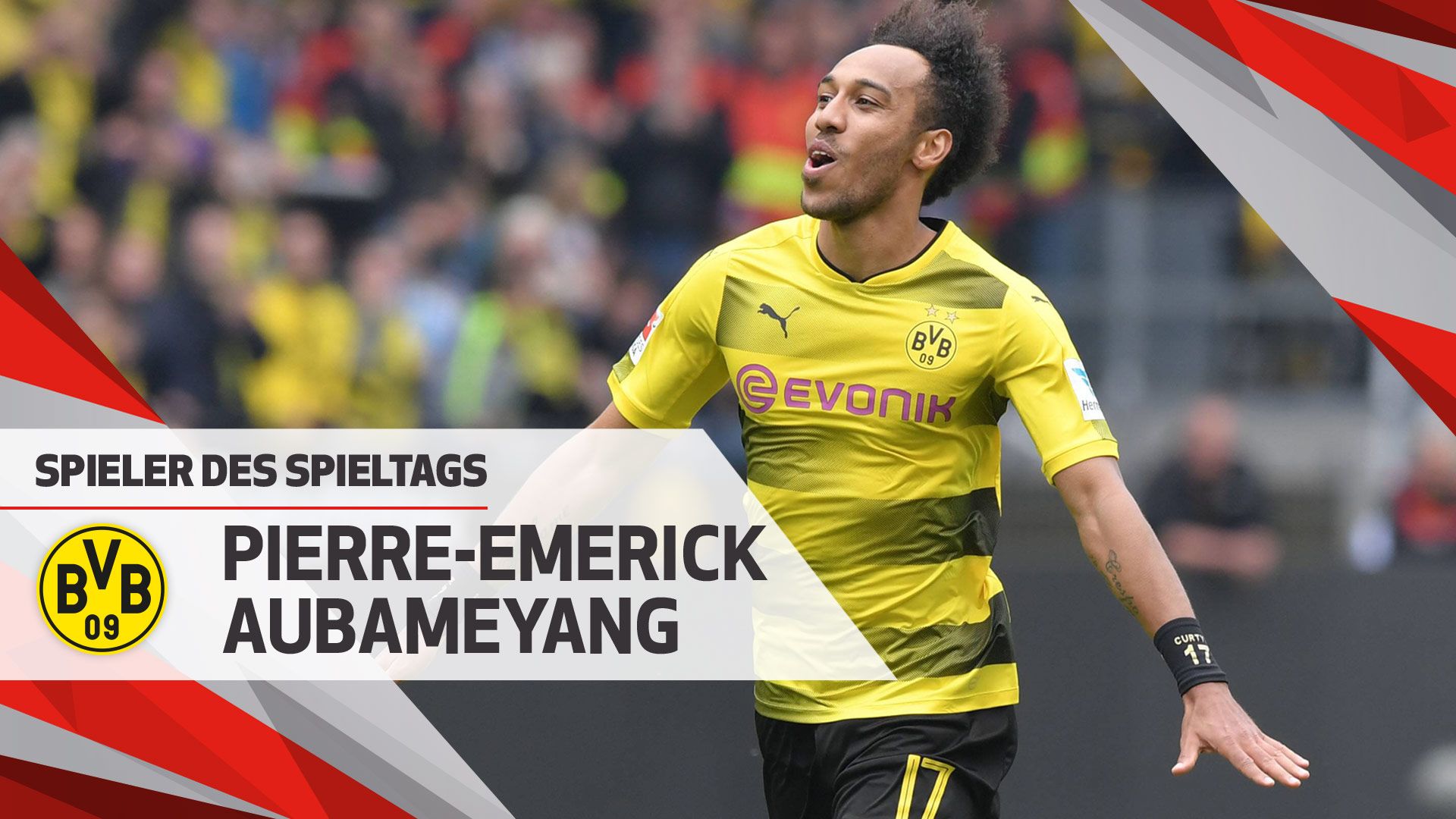 动物油熬炼设备